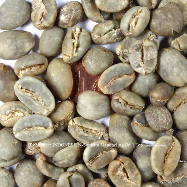 rohkaffee-indonesien-sumatra-mandheling-gr-1-top-rohkaffeebohnen.de