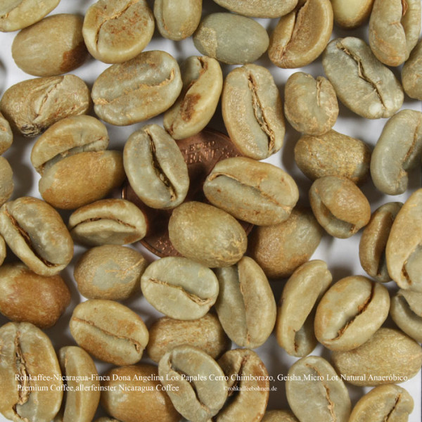 rohkaffee-nicaragua-finca-dona-angelina-los-papales-cerro-chimborazo-geisha-micro-lot-natural anaeróbico-premium-coffee-rohkaffeebohnen.de