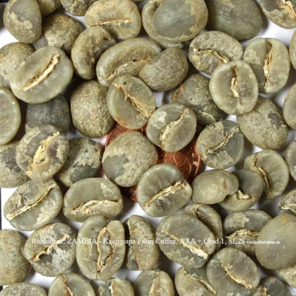 rohkaffee-zambia-aaa-grad-1-sl28-kachipapa-farm-coffee-©rohkaffeebohnen.de