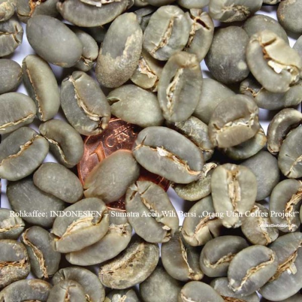 INDONESIEN - Sumatra-Aceh, Wih Bersih "Orang Utan Coffee Projekt"