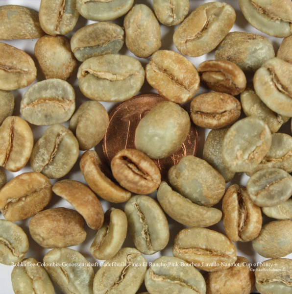 rohkaffee-colombia-genossenschaft-cadefihuila-finca-el-rancho-pink-bourbon-lavado-nanolot-cup-of-ninty-plus-rohkaffeebohnen.de