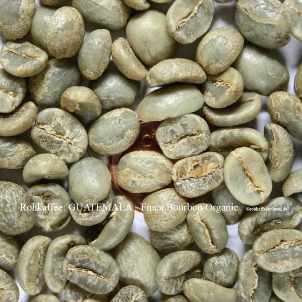 GUATEMALA - Finca Bourbon Organic