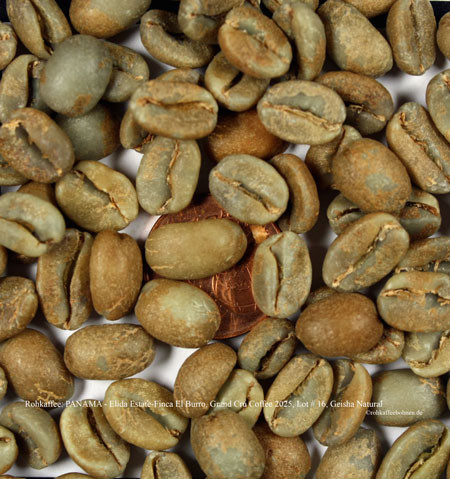 rohkaffee-pamama-elida-estate-finca-el-burro-grand-cru-coffee-2025-Lot-16-classic-Geisha-natural-rohkaffeebohnen-de