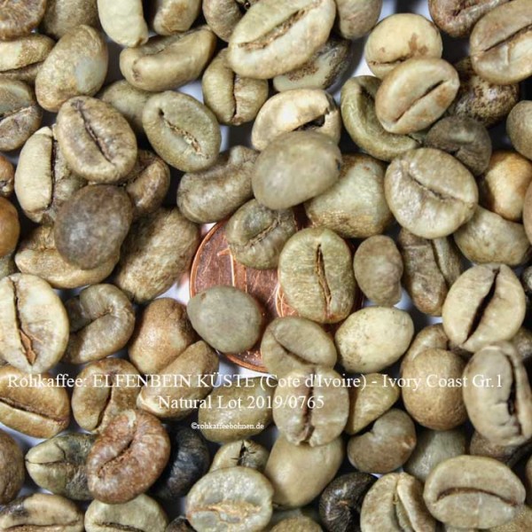 ELFENBEIN KÜSTE (Cote d'Ivoire) - Ivory Coast Gr.1-Natural,Lot 2019/0765