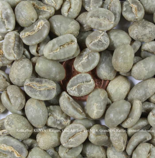 rohkaffee-kenya-kaiguri-grad-ab-top-lot-nr-14-Top-grand-cru-kaffee-rohkaffeebohnen.de