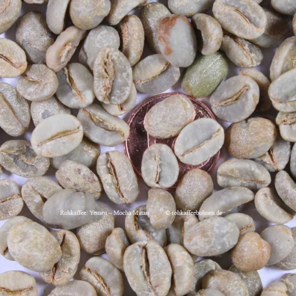 YEMEN - Mocha Matari (500g), SHB,Microlot (Grundpreis 25,90€/kg)