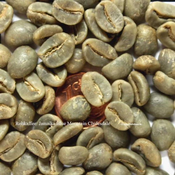 JAMAIKA-Blue Mountain: Clydesdale Estate Coffee (500g) (1kg=99,40€)