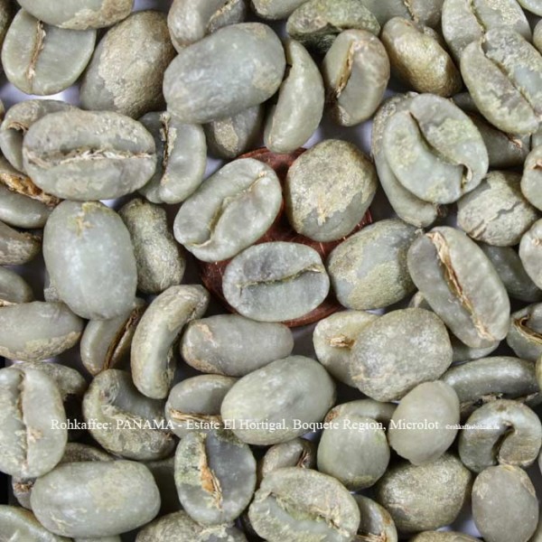 rohkaffee-panama-estate-el-hortigal-boquete-region-microlot-rohkaffeebohnen.de