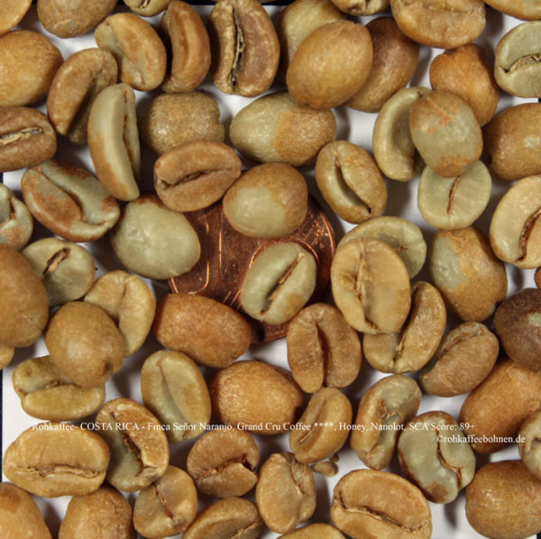 rohkaffee-costa-rica-finca-senor-naranjo-grand-cru-coffee-honey-nanolot-sca-score-89-rohkaffeebohnen.de