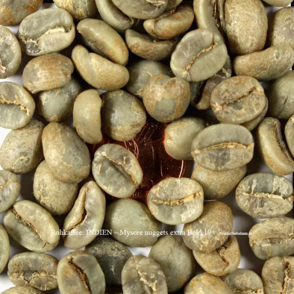 Rohkaffee-Indien-Mysor-19plus-Extra-Bold