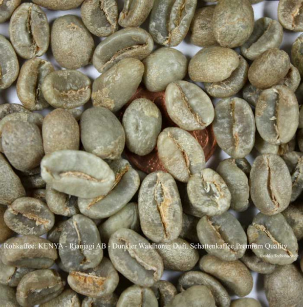 rohkaffee-kenya- Rianjagi AB-dunkler-waldhonig-duft-schattenkaffee-premium-quality-rohkaffeebohnen.de