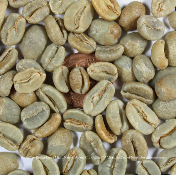rohkaffee-kenya-estate-mtaro-natural-grand-cru-coffee-nanolot-cup-of-ninty-plus-rohkaffeebohnen.de