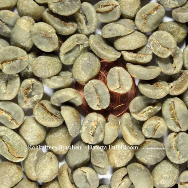 BRASILIEN - Daterra Estate Full Bloom, Masterpiece, SHB, Microlot