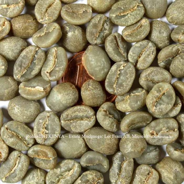 rohkaffee-kenya-estate-muchunga-lot-fram-ab-microlot -©rohkaffeebohnen.de