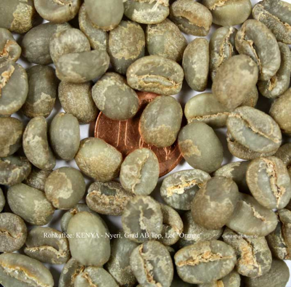 rohkaffee-kenya-nyeri-grad-ab-top-lot-Orange-rohkaffeebohnen.de