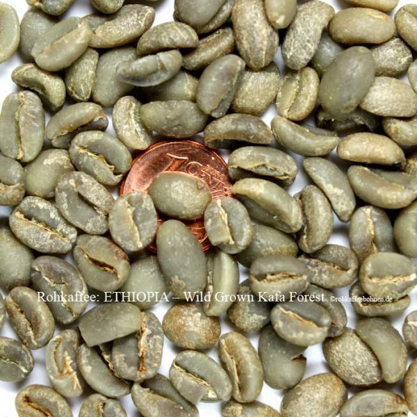 ETHIOPIA - Wild Grown Kafa Forest Coffee Gr.2
