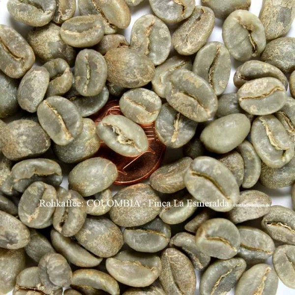 COLOMBIA - Finca La Esmeralda, Nanolot (5 Sack)
