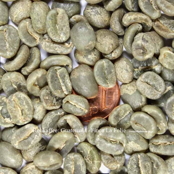 GUATEMALA - Finca La Folie; Microlot; 100% Antigua