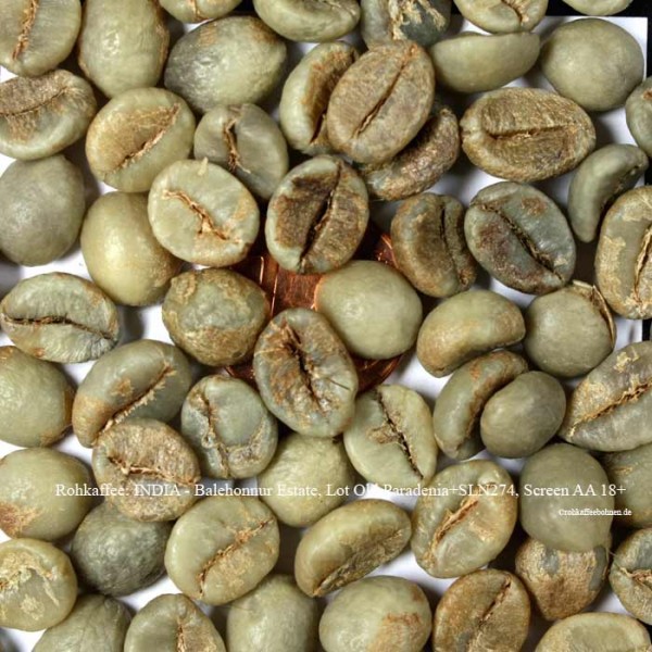rohkaffee-india-balehonnur-estate-lot-old-paradenia+sln274-screen-aa-18+-©rohkaffeebohnen.de