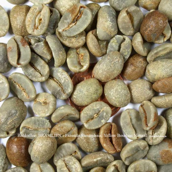rohkaffee-brasilien-fazenda-samambaia-yellow-bourbon-natural-rohkaffeebohnen.de