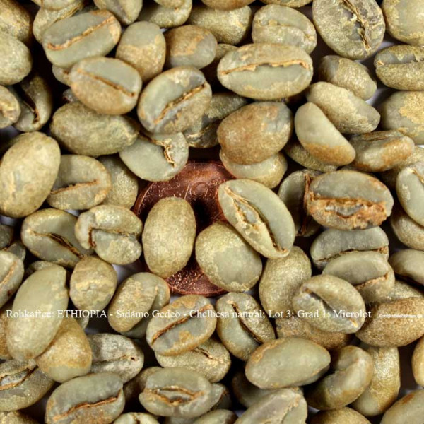 rohkaffee-ethiopia-sidamo-gedeo-chelbesa-natural-lot-3-grad-1-rohkaffeebohnen.de