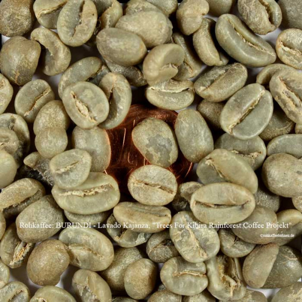 rohkaffee-burundi-lavado-kajanza-trees-for-kibira-rainforest-coffee-projekt-rohkaffeebohnen.de
