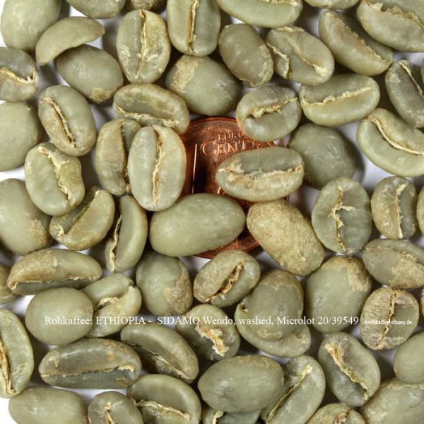 rohkaffee-ethiopia-sidamo-wendo-washed-microlot |rohkaffeebohnen.de
