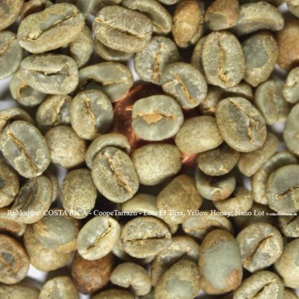 COSTA RICA Coope Tarrazú - Lote El Tirra,Yellow Honey;Nano Lot (2ha)