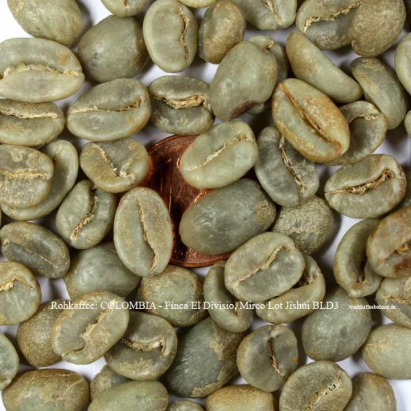 rohkaffee-colombia-finca-el-divisio-lot-jishui-mirco-lot-©rohkaffeebohnen.de