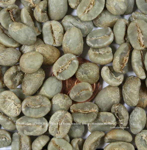 rohkaffee-honduras-finca-la-reina-washed-feinster-honduras-kaffee-rohkaffeebohnen-de
