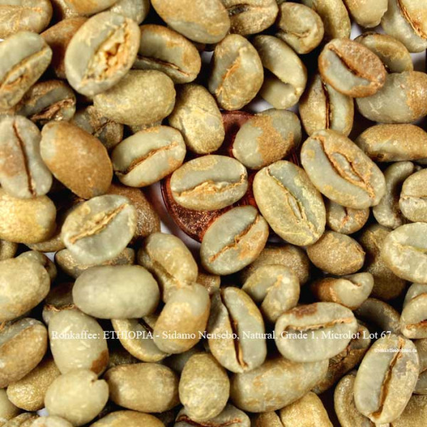 rohkaffee-ethiopia-sidamo-nensebo-natural-grade-1-microlot-lot -67-rohkaffeebohnen.de
