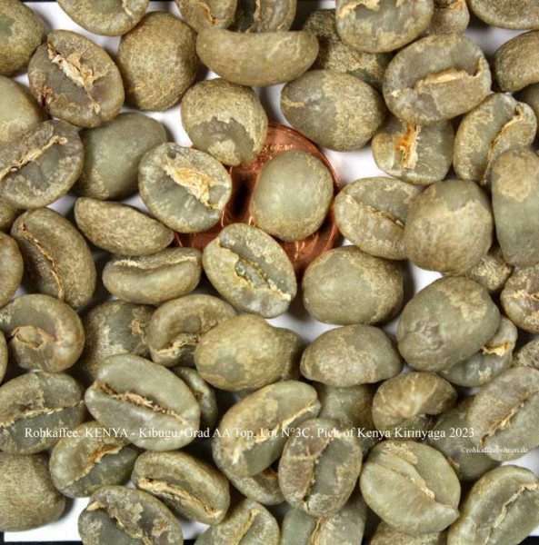 rohkaffee-kenya-kibugu-grad-aa-top-lot-nr3C-pick-of-kenya-kirinyaga-2023-rohkaffeebohnen.de