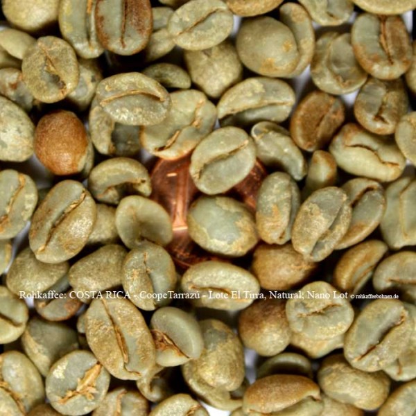 Rohkaffee: COSTA RICA - CoopeTarrazú - Lote El Tirra, Natural; Nano Lot © rohkaffeebohnen.de