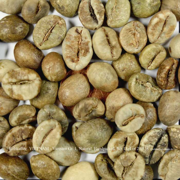 rohkaffee-vietnam-gr1-natural-handpicked-lot25-138-rohkaffeebohnen-de