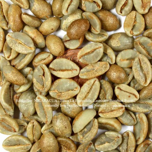 Rohkaffee: NICARACUA - Finca La Escondida, Laurina = Bourbon Pointu, naturally low - caffeine Natural ©rohkaffeebohnen.de