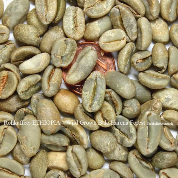 ETHIOPIA - Wild Grown Bale Harena Forest, natural, Gourmet Café