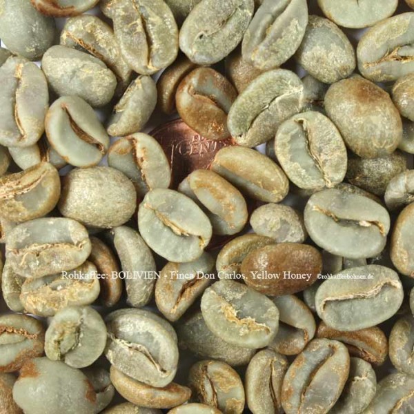 BOLIVIEN - Finca Don Carlos, Yellow Honey
