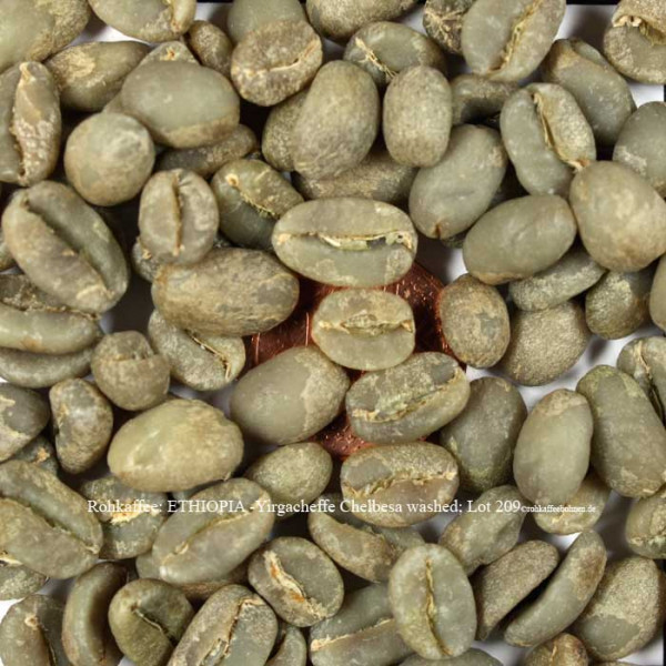 rohkaffee-ethiopia-yirgacheffe-chelbesa-washed-lot-209-rohkaffeebohnen.de