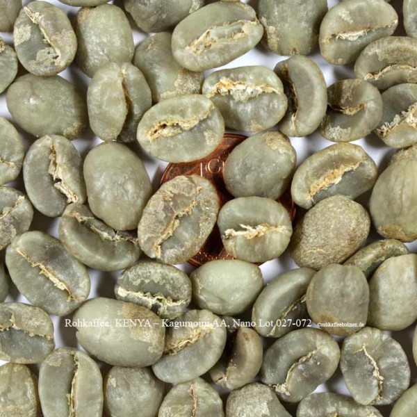rohkaffee-kenya-kagumoini-aa-nano-lot-027-072-©rohkaffeebohnen.de
