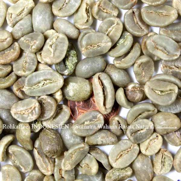 INDONESIEN - Sumatra Rasuna – Natural 1