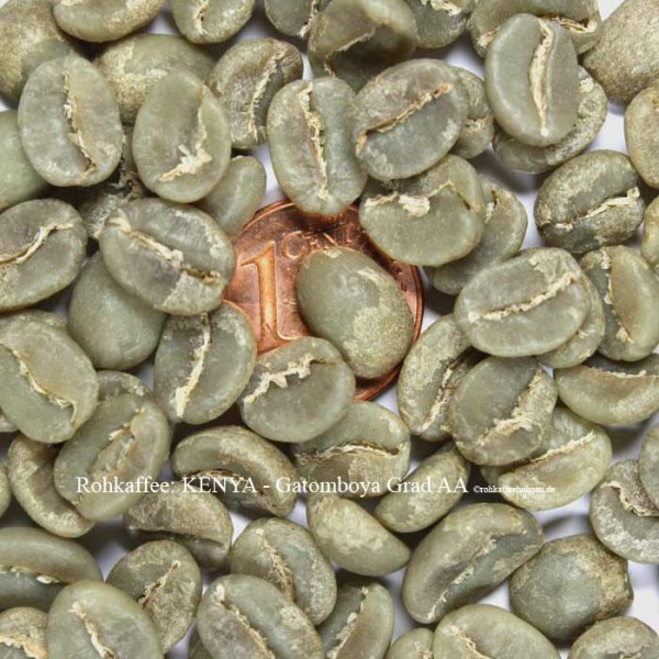KENYA - Gatomboya, Grade AA