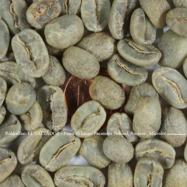 rohkaffee-el-salvator-finca-el-limo-pacamara-natural-auslese-microlot-©rohkaffeebohnen.de