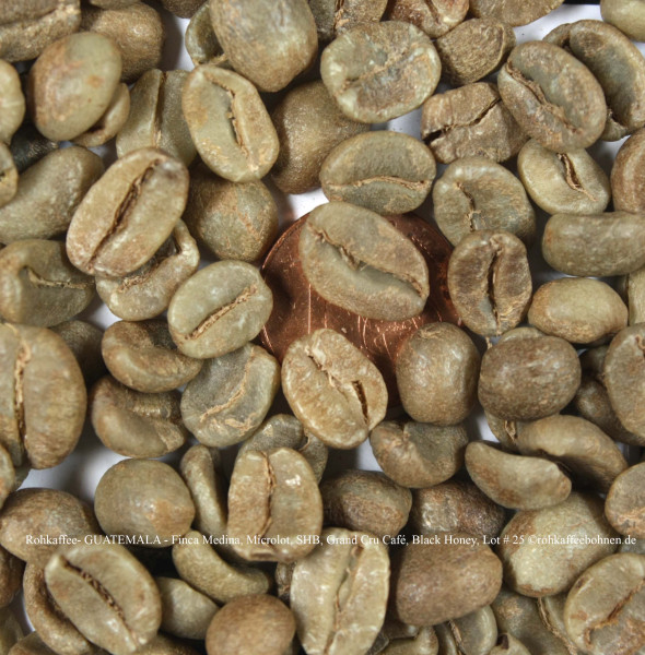 rohkaffee-guatemal-finca-medina-microlot-shb-black-honey-lot.#25-rohkaffeebohnen.de