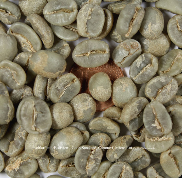 rohkaffee-bolivien-coop-san-jose-caranavi-micro-lot-rohkaffeebohnen.de