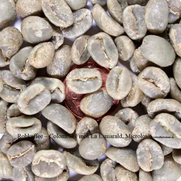 COLOMBIA - Finca La Esmeralda, Microlot (8 Sack)