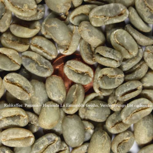 PANAMA - Hacienda La Esmeralda, Geisha, Grand Gru Cafe