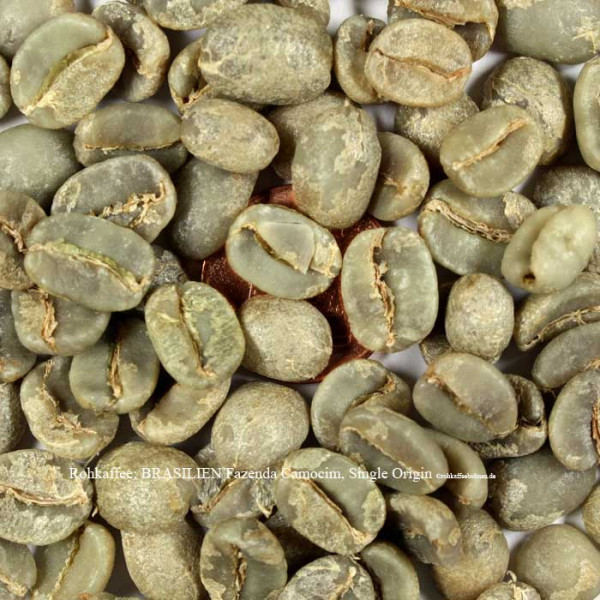 rohkaffee-brasilien-fazenda-camocim-single-origin-rohkaffeebohnen.de
