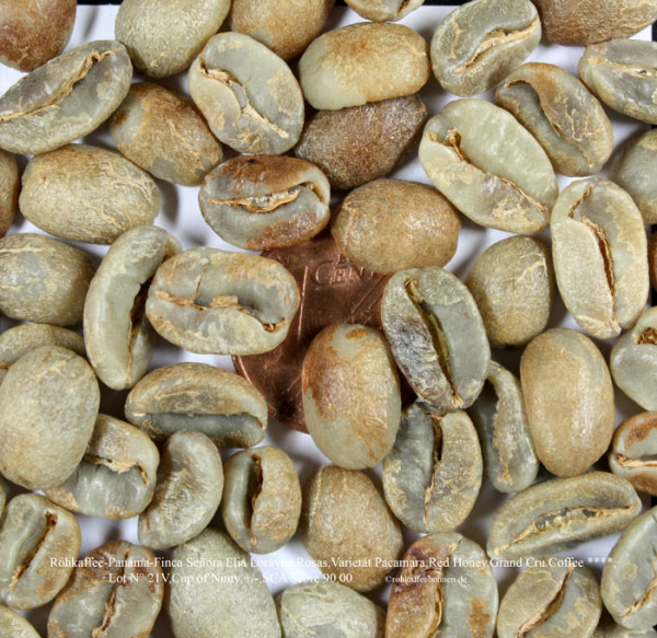 rohkaffee-panama-finca-señora-elia-lorayne-rosas-varietät-pacamara-red-honey-grand-cru-coffee-cup-of-ninty-sca-score-90-rohkaffeebohnen.de