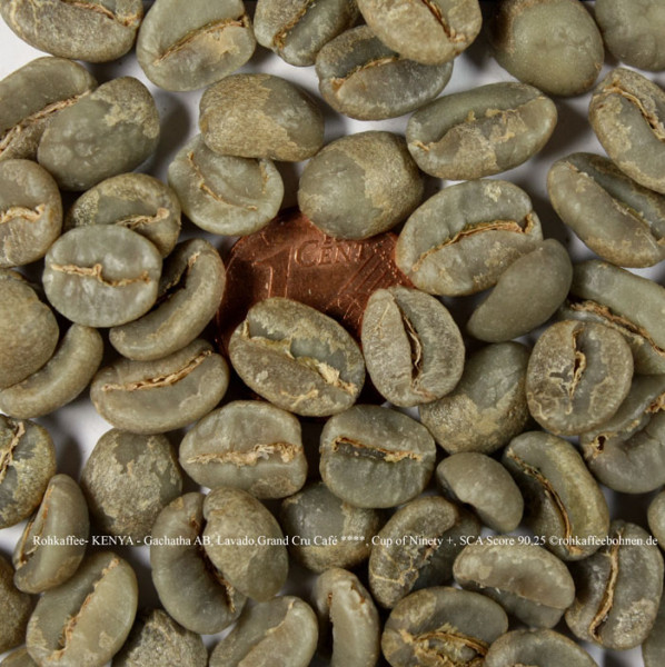 rohkaffee-kenya-gachatha-ab-lavado-grand-cru-cup-of-ninety-plus-sca-score-90,25-rohkaffeebohnen.de