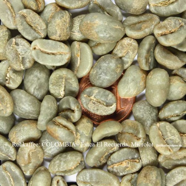 COLOMBIA - Finca El Recuerda, Microlot (10 Sack)